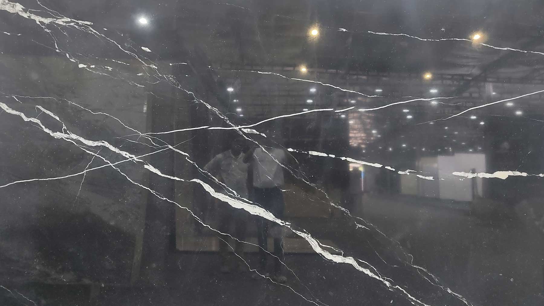 Image Title